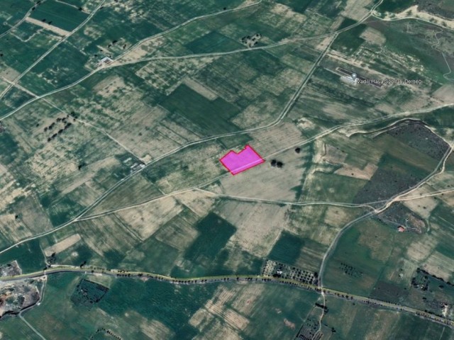 Vadili Fasıl - 96 İmarlı 12.382 m² Arsa