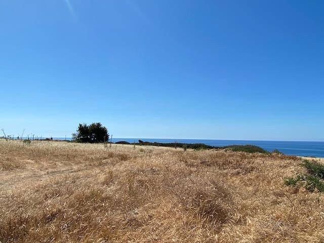 Gorgeous 7 Acres of Land for Sale by the Sea in Hot Springs!