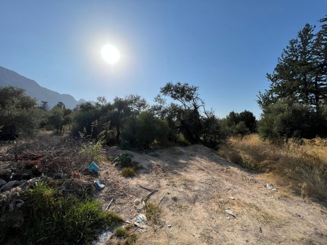 Girne Lapta'da Kat Karşılığı Arsa