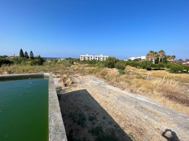 In Exchange for the Floor in the Girne Lapta Deckhouse Land ** 