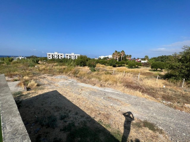 In Exchange for the Floor in the Girne Lapta Deckhouse Land ** 