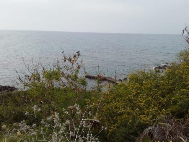 Girne Alsancak'ta Kiralık Lüks Villa