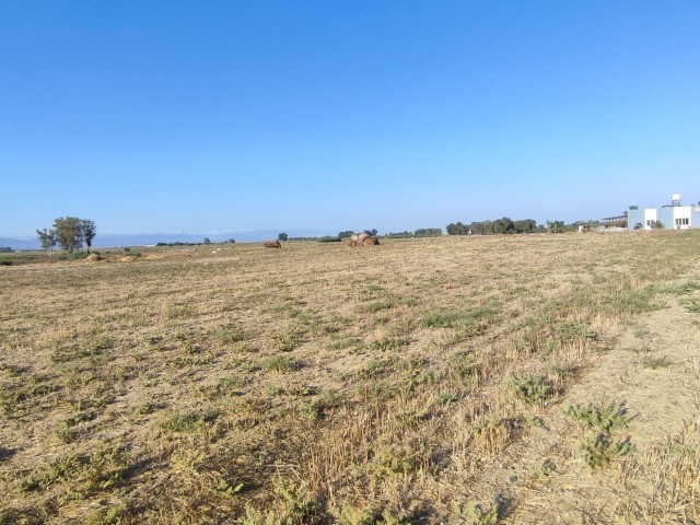 GAZIKÖY ZU VERKAUFEN AUF DER STRAßE UND IM DORF LAND ** 