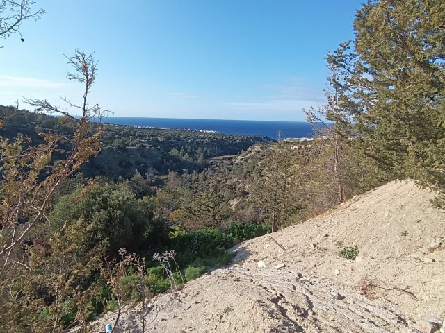 زمین با منظره دریا برای فروش در GIRNE BAHÇELİ (باز برای توسعه)