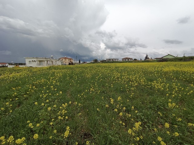 LEFKOŞA MERIC 3 HEKTAR LAND, GEEIGNET FÜR PARZELLIERUNG ODER BAUSTELLENEINRICHTUNG