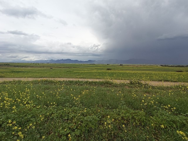 LEFKOŞA MERIC 3 HEKTAR LAND, GEEIGNET FÜR PARZELLIERUNG ODER BAUSTELLENEINRICHTUNG