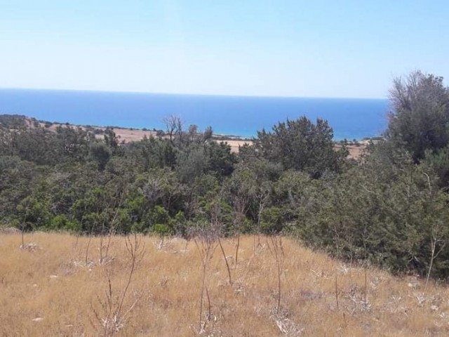 900 METER VOM STRAND IN TAŞLICA ENTFERNT, MIT MEERBLICK, 5. DEZEMBER 3 EVLEK-FELDER