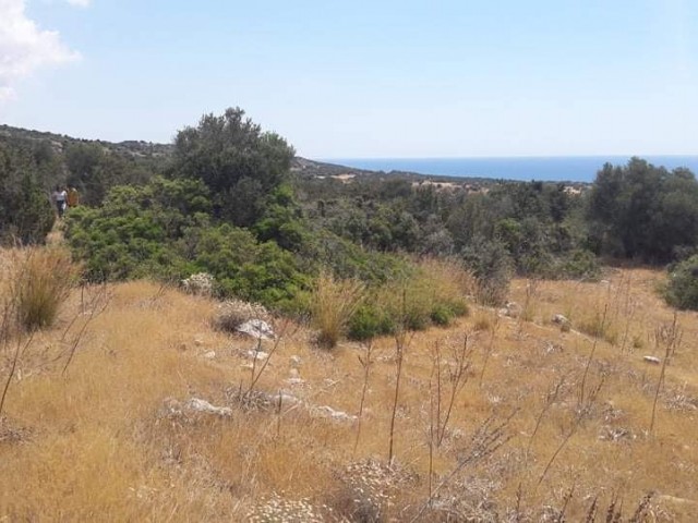 900 METER VOM STRAND IN TAŞLICA ENTFERNT, MIT MEERBLICK, 5. DEZEMBER 3 EVLEK-FELDER