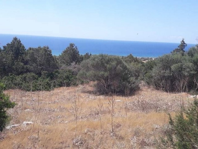 900 METER VOM STRAND IN TAŞLICA ENTFERNT, MIT MEERBLICK, 5. DEZEMBER 3 EVLEK-FELDER