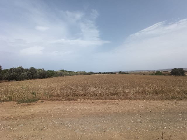 AKÇAY برای فروش میدان جاده روستای بعدی و RED EARTH