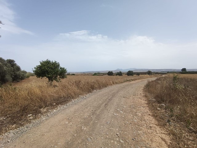 AKÇAY برای فروش میدان جاده روستای بعدی و RED EARTH