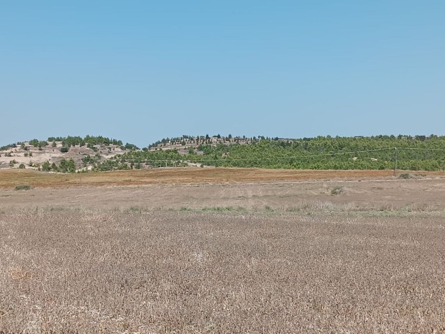 SERDARLI TÜRKISCH GEMACHTES LAND 3 KOÇAN TOTAL 11.5 DEC LIEGT GANZ IN DER NÄHE DER AUTOBAHN