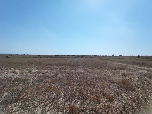 SERDARLI TURKISH MADE LAND 3 KOÇAN TOTAL 11.5 DEC IS VERY CLOSE TO HIGHWAY