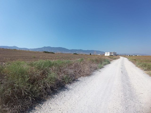 SERDARLI TURKISH MADE LAND 3 KOÇAN TOTAL 11.5 DEC IS VERY CLOSE TO HIGHWAY