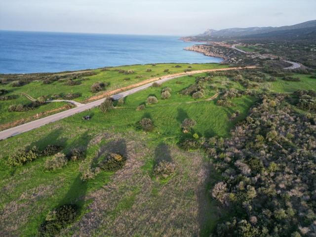 8.5 DECLARES OF LAND NEAR THE SEA FOR SALE IN İSKELE-BÜYÜKKONUK