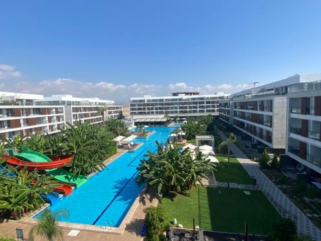 COURTYARD LONG BEACH'DE SATILIK STÜDYO DAİRE