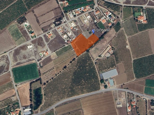 LAND FOR SALE IN GAZİVEREN, 5 DECLARES, 1 EVLEK