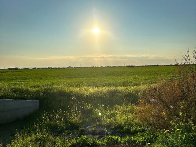 23 Hektar Land mit türkischem Titel in Famagusta Mutluyaka