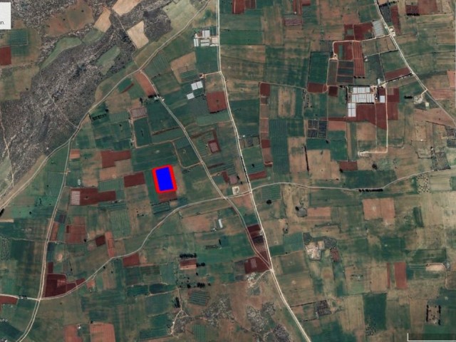 300 square meters shared field for sale in Mornekşe