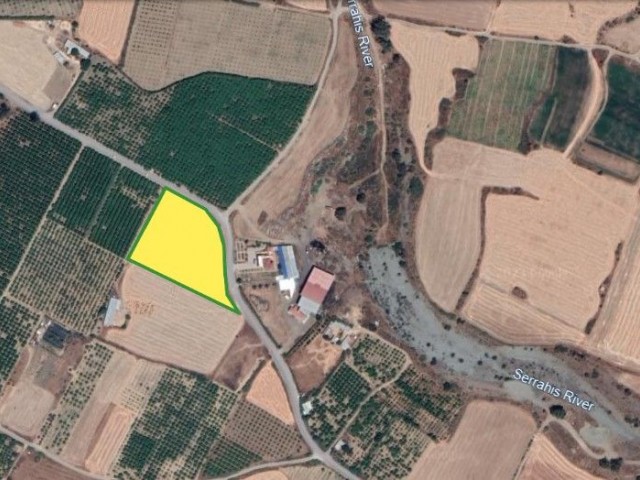 Land For Sale in Yayla / Guzelyurt