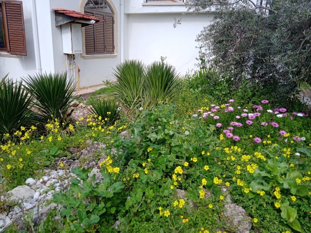 ویلا برای فروش in Çatalköy, گیرنه