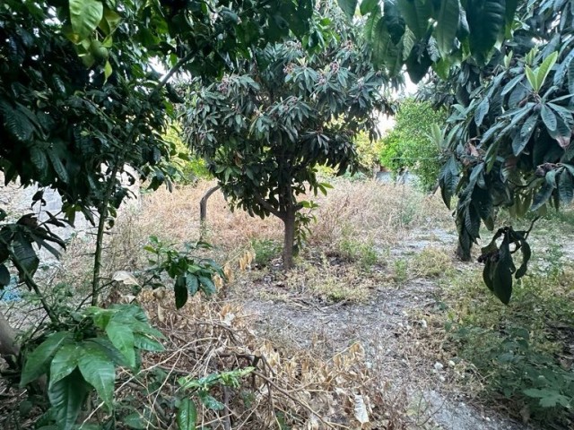 خانه مستقل برای فروش in Ozanköy, گیرنه