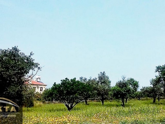 منطقه مسکونی برای فروش in Lapta, گیرنه