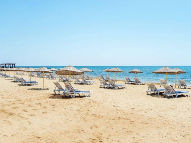 Holiday on the beach  of the Mediterranean sea...