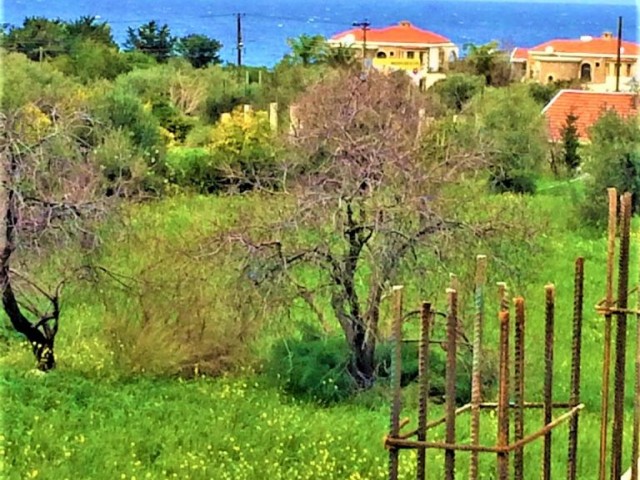 For sale amazing plot in Lapta/Cyprus with building permission!