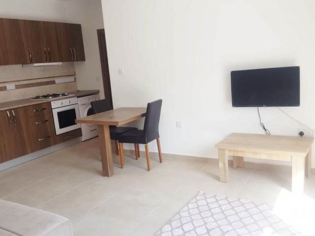 1+1 fully furneshed rental apartment