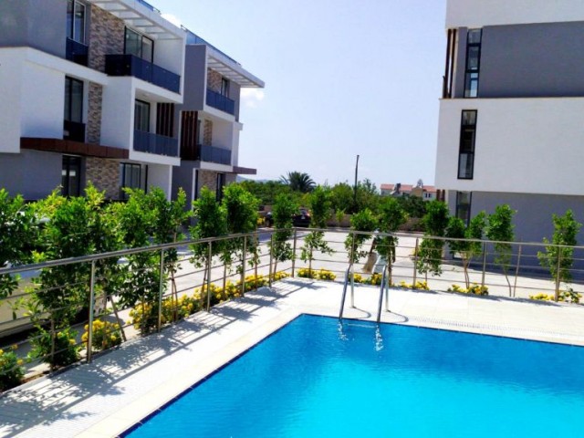 New ready to move apartments in Lapta  