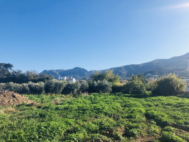 Eben Kaufen in Alsancak, Kyrenia