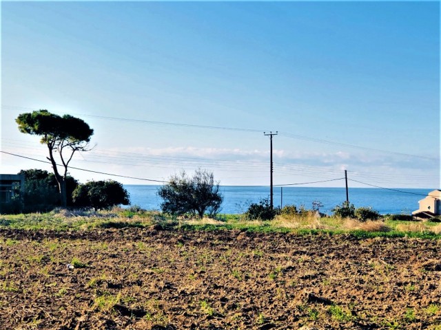 Reduced price...For sale land close to sea .