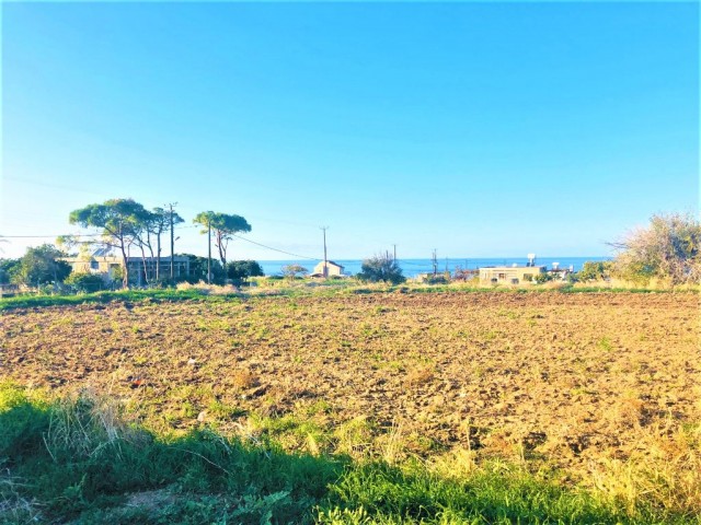 Reduced price...For sale land close to sea .