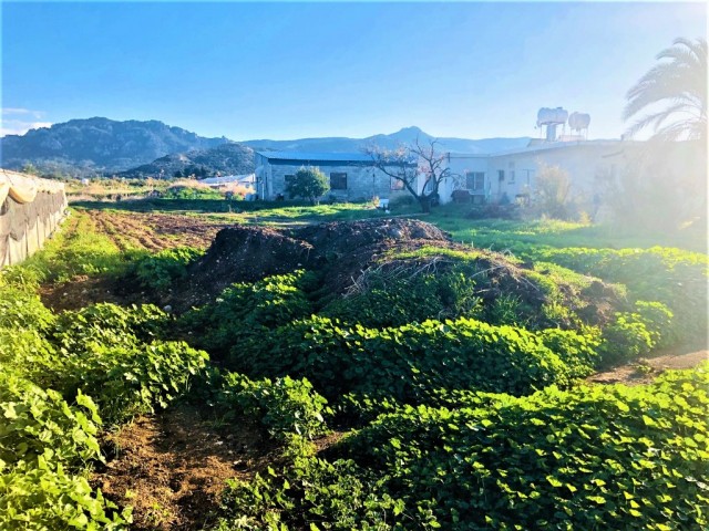 Feld Kaufen in Tatlısu, Famagusta