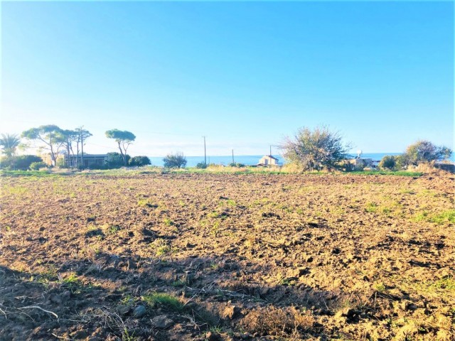 Reduced price...For sale land close to sea .