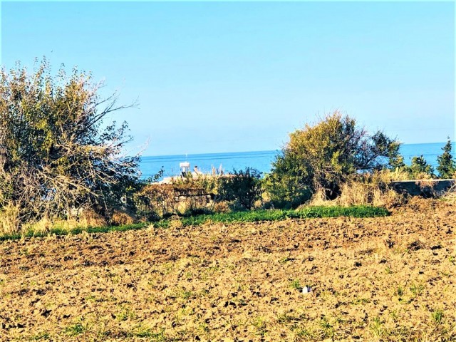 Reduced price...For sale land close to sea .