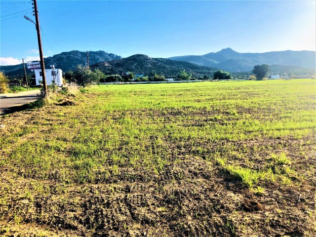 Feld Kaufen in Tatlısu, Famagusta