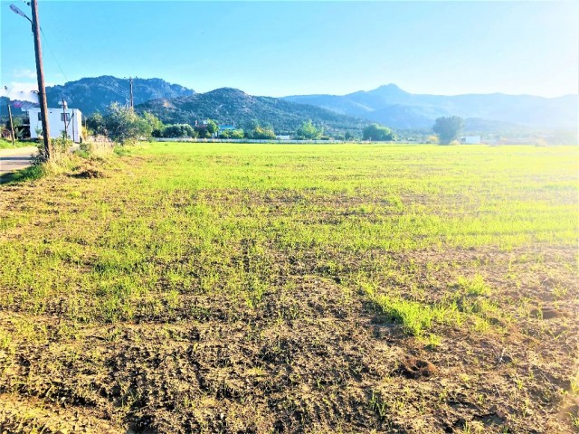 Feld Kaufen in Tatlısu, Famagusta