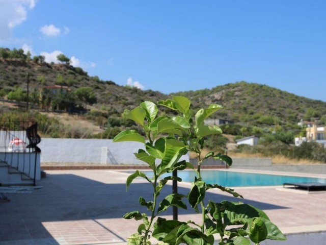 Villa Kaufen in Karşıyaka, Kyrenia