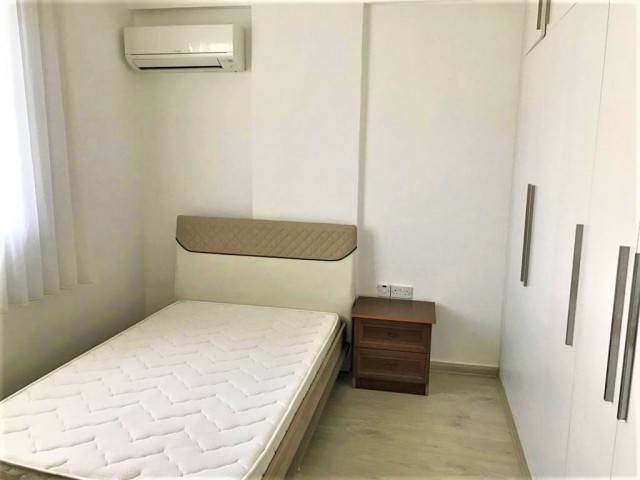 For rent 2+1 apartment in city center