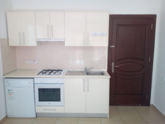 Nice and clean 1+1 fully furnished apartment for rent 