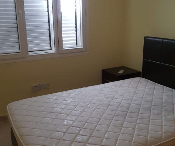 For rent 2+1 apt in city center