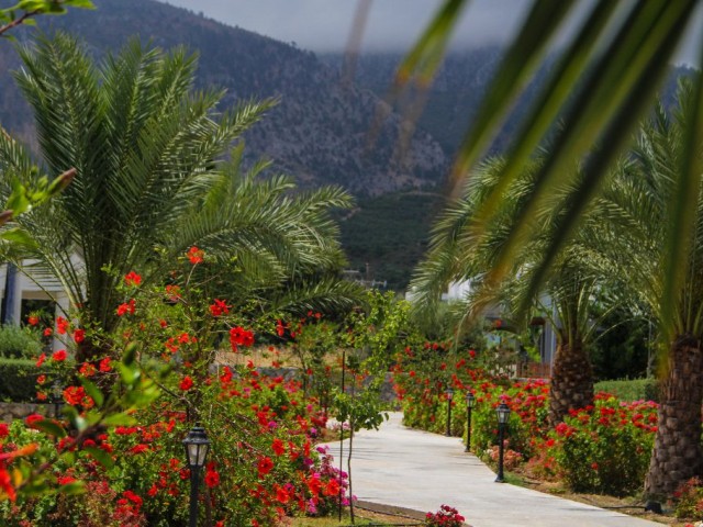 ویلا برای اجاره in Alsancak, گیرنه