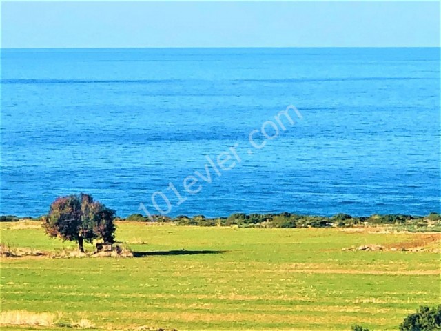 Land for sale with a sandy beach in Famagusta ** 