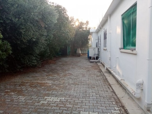 Einfamilienhaus Kaufen in Karşıyaka, Kyrenia