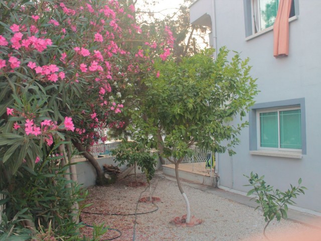 Flat To Rent in Girne Merkez, Kyrenia