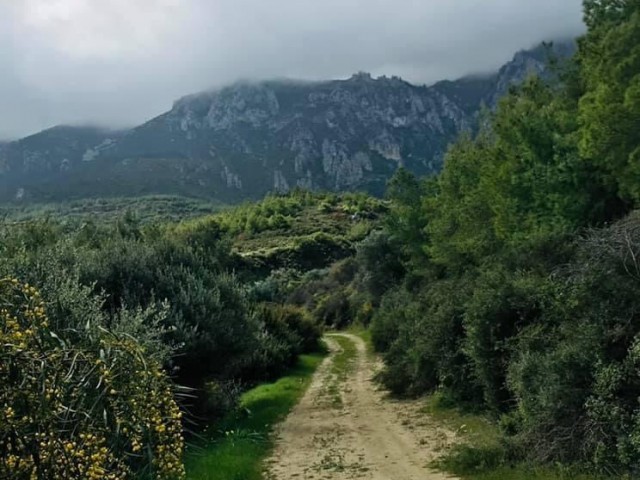 Villa Mieten in Edremit, Kyrenia