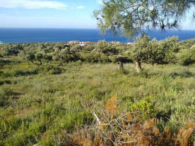 A TURN OF SEA VIEW IN THE ROCKS 41,000 GBP LAND ** 