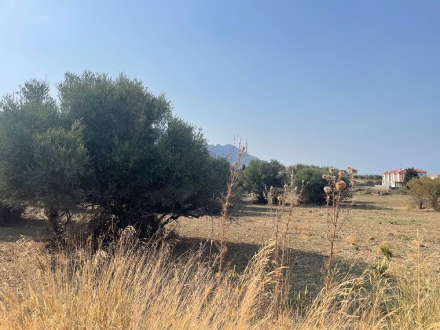 Grundstück mit Meerblick in Alsancak